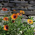 Le Temps D'une Fugue