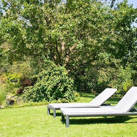 Le Temps D'une Fugue Bed & Breakfast Lierneux