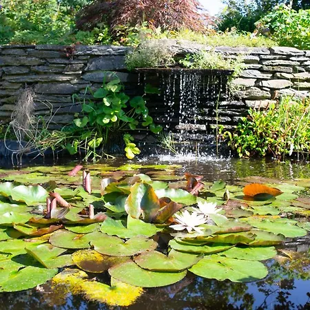 Le Temps D'une Fugue Bed & Breakfast