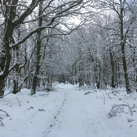 Le Temps D'une Fugue Bed & Breakfast