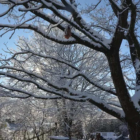 Bed & Breakfast Le Temps D'une Fugue 3*
